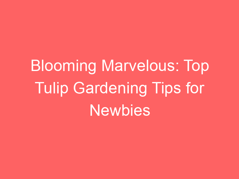 Blooming Marvelous: Top Tulip Gardening Tips for Newbies