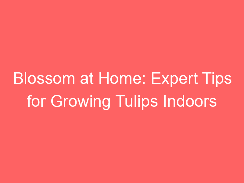 Blossom at Home: Expert Tips for Growing Tulips Indoors