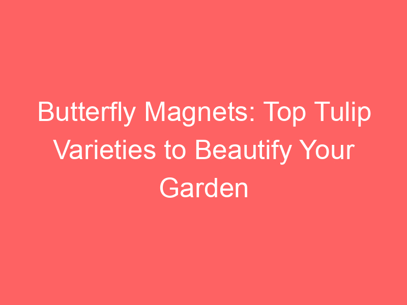 Butterfly Magnets: Top Tulip Varieties to Beautify Your Garden