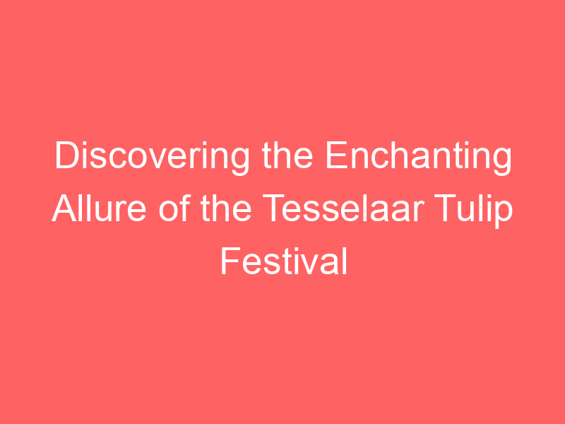 Discovering the Enchanting Allure of the Tesselaar Tulip Festival