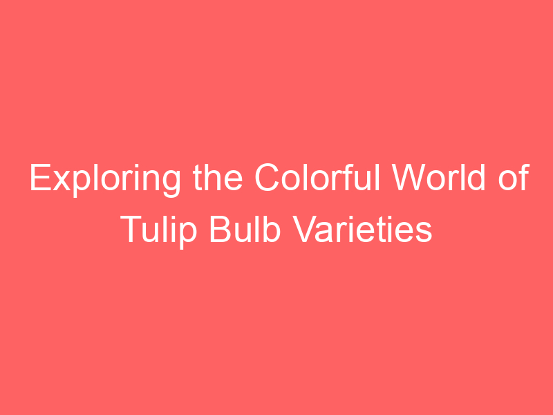 Exploring the Colorful World of Tulip Bulb Varieties