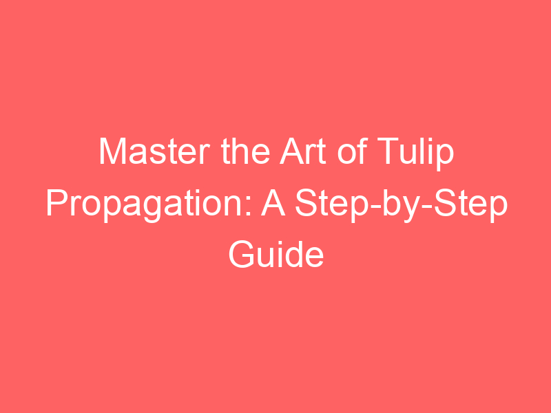 Master the Art of Tulip Propagation: A Step-by-Step Guide